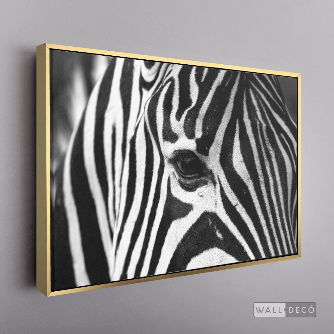 Cuadro Animales Cebra Boho Horizontal - marco dorado