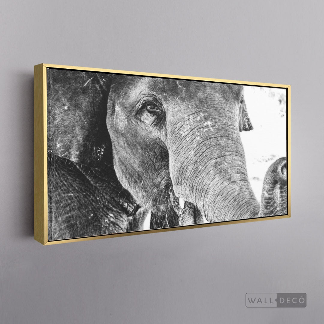 Cuadro Animales Elefante Boho Horizontal - marco dorado 145x55