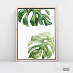 Cuadro Botánico BALAZO - WalldecóStore