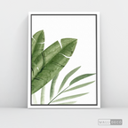 Cuadro Botánico PLATANERA - WalldecóStore