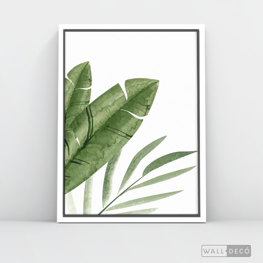 Cuadro Botánico PLATANERA - WalldecóStore
