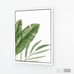 Cuadro Botánico PLATANERA - WalldecóStore