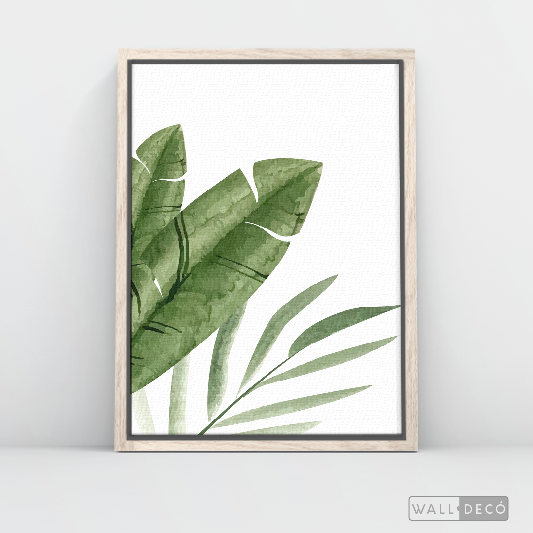 Cuadro Botánico PLATANERA - WalldecóStore