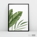 Cuadro Botánico PLATANERA - WalldecóStore