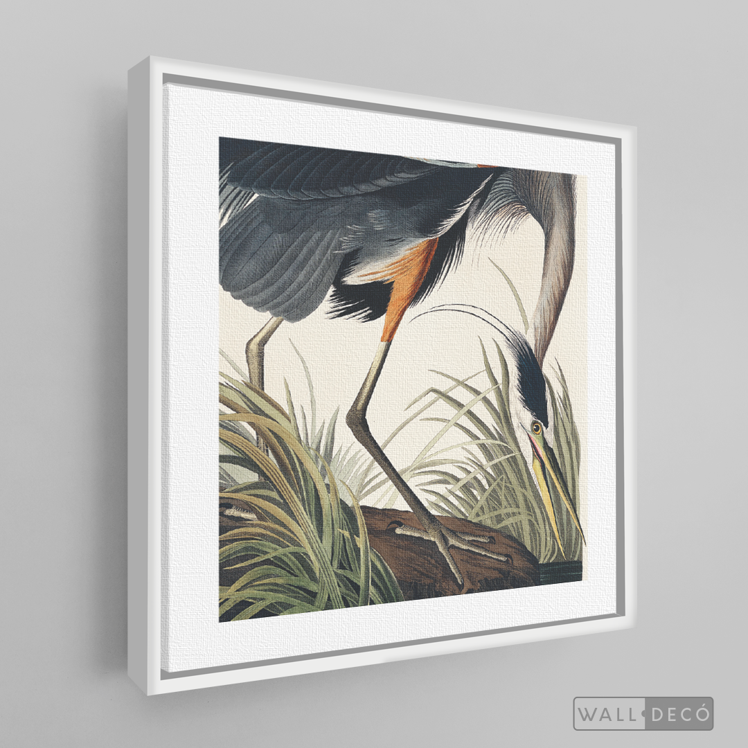 Cuadro Aves Garza