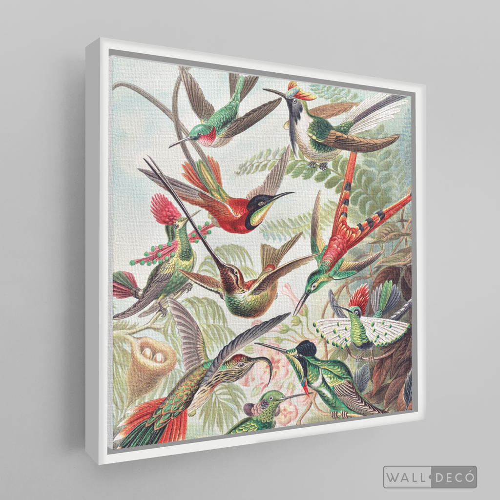 Cuadro Aves Colibríes