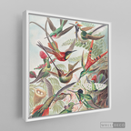 Cuadro Aves Colibríes