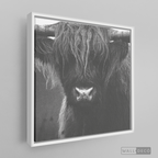 Cuadro Animales Bisonte