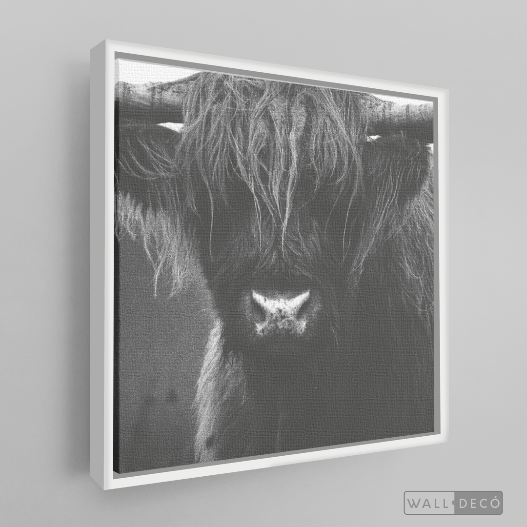 Cuadro Animales Bisonte