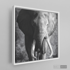 Cuadro Animales Elefante Real B/N
