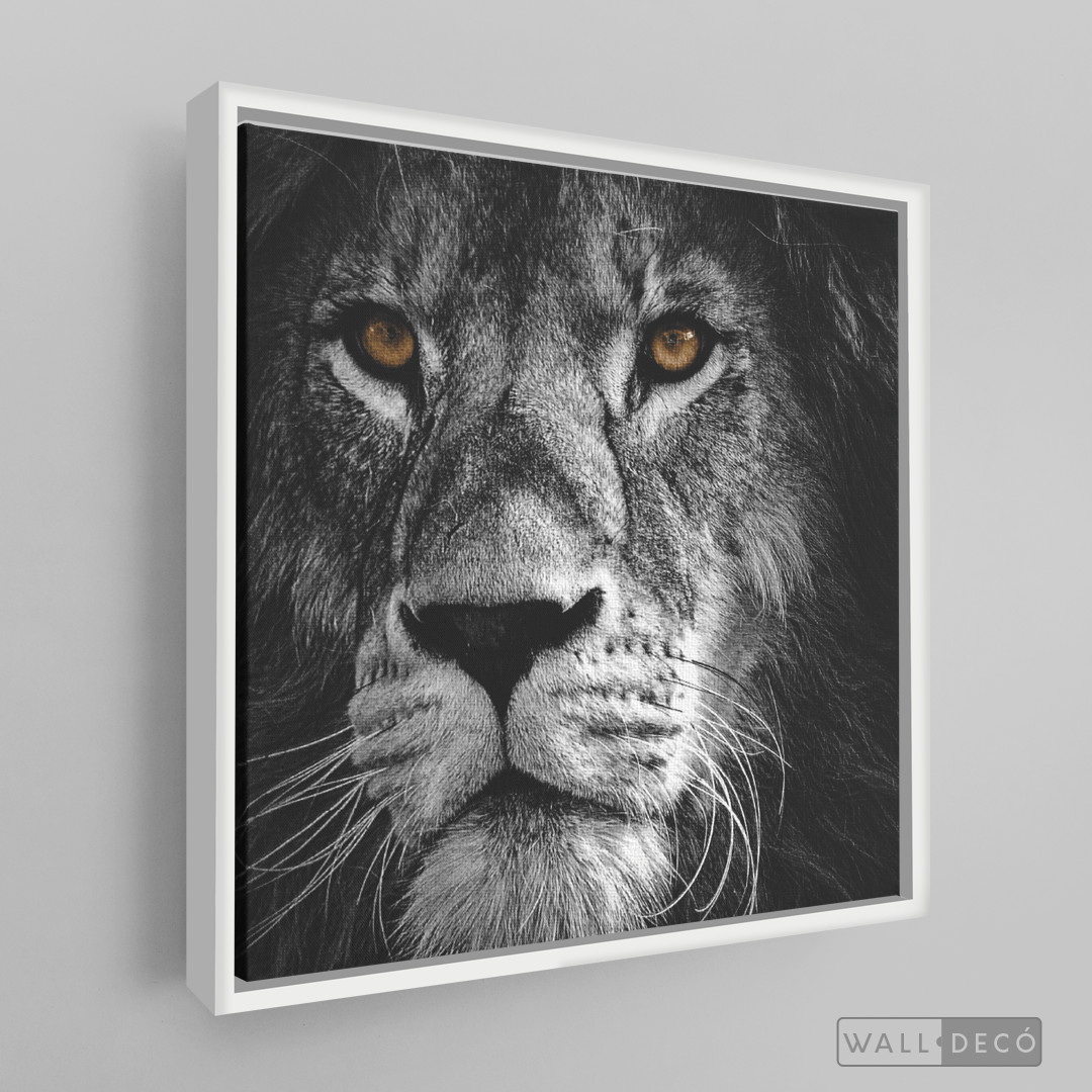 Cuadro Animales León (B) B/N