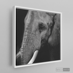 Cuadro Animales Elefante B/N