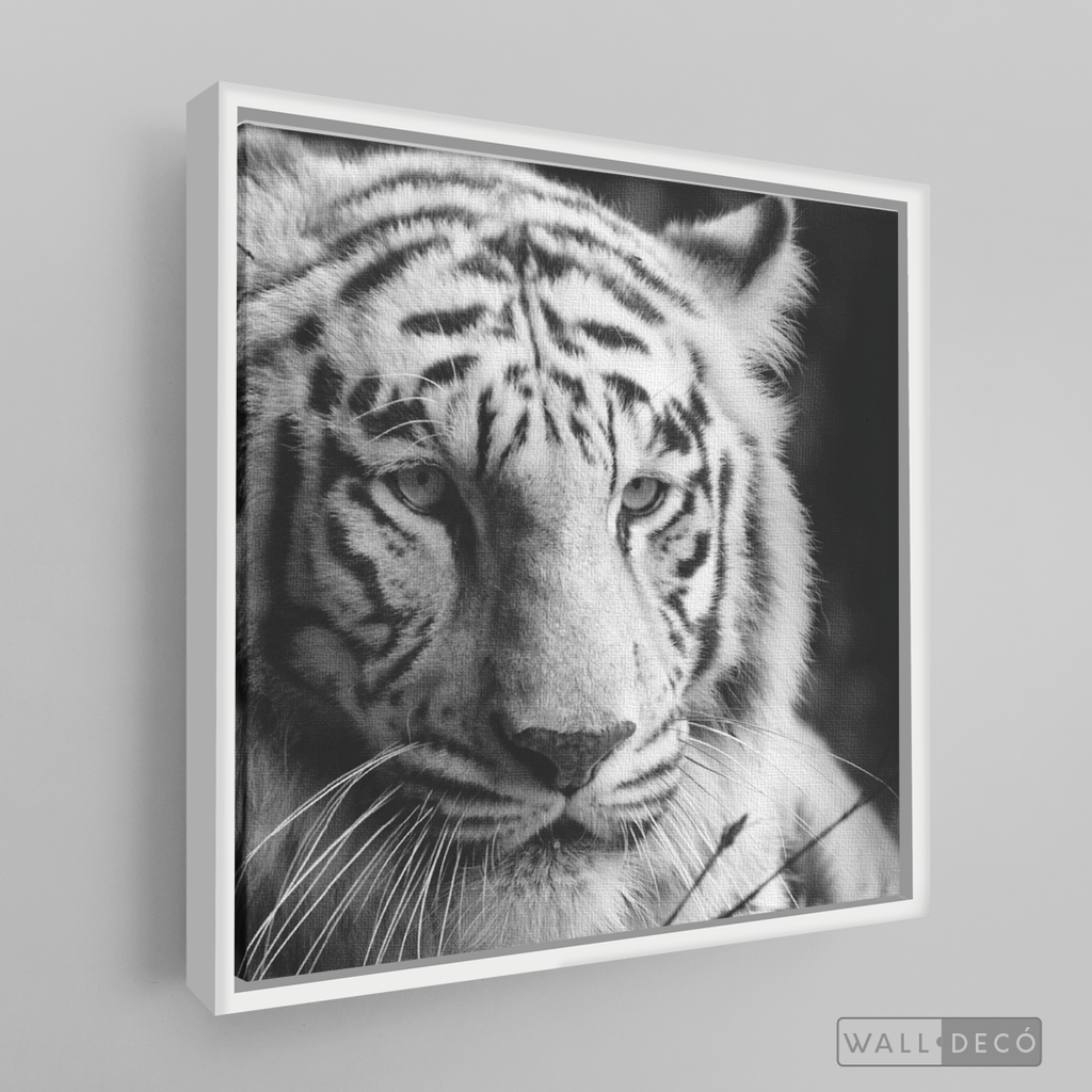 Cuadro Animales Tigre Blanco B/N