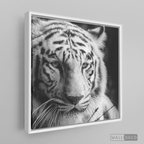 Cuadro Animales Tigre Blanco B/N