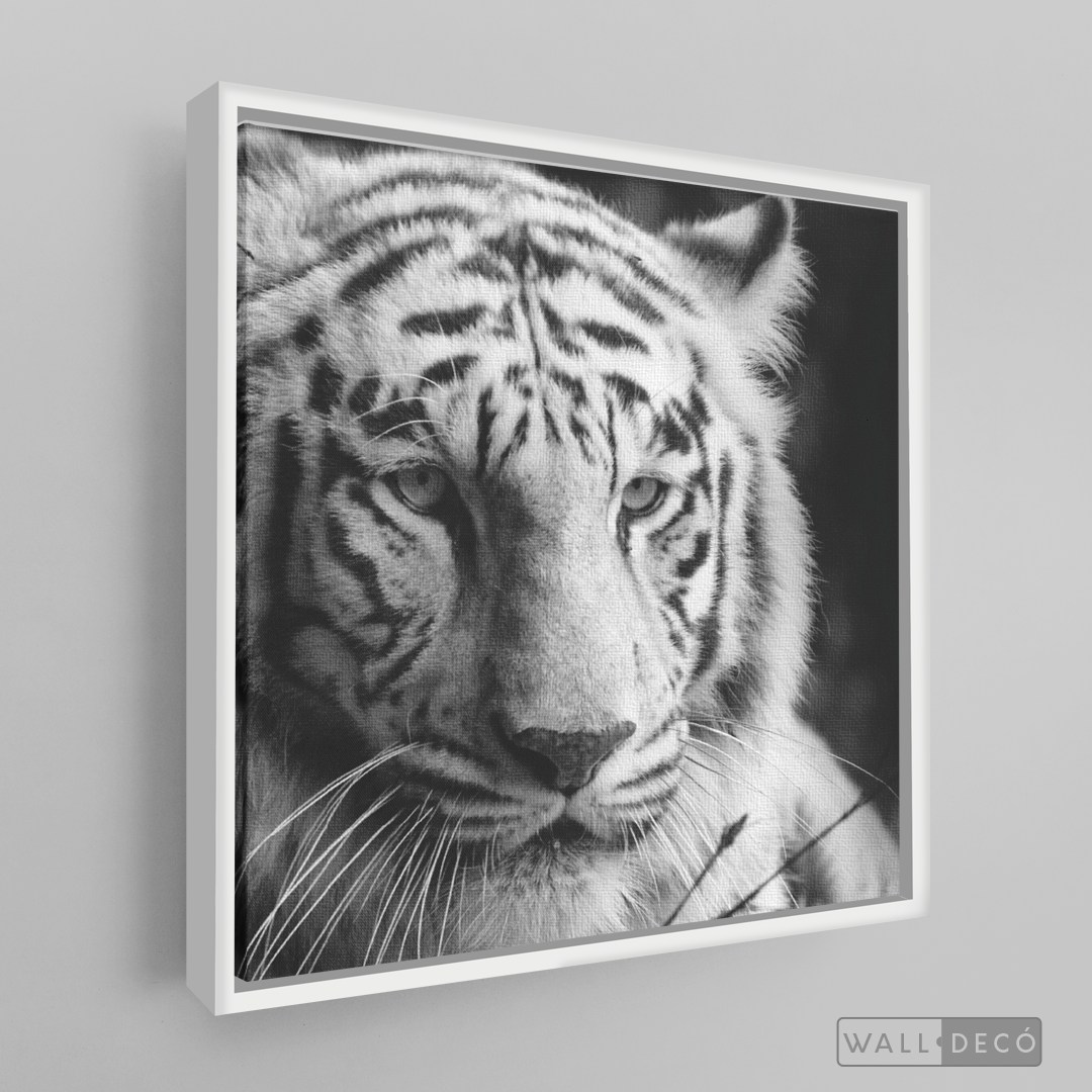 Cuadro Animales Tigre Blanco B/N
