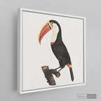Cuadro Aves Tucan Colombiano 2