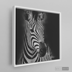 Cuadro Animales Cebra B/N