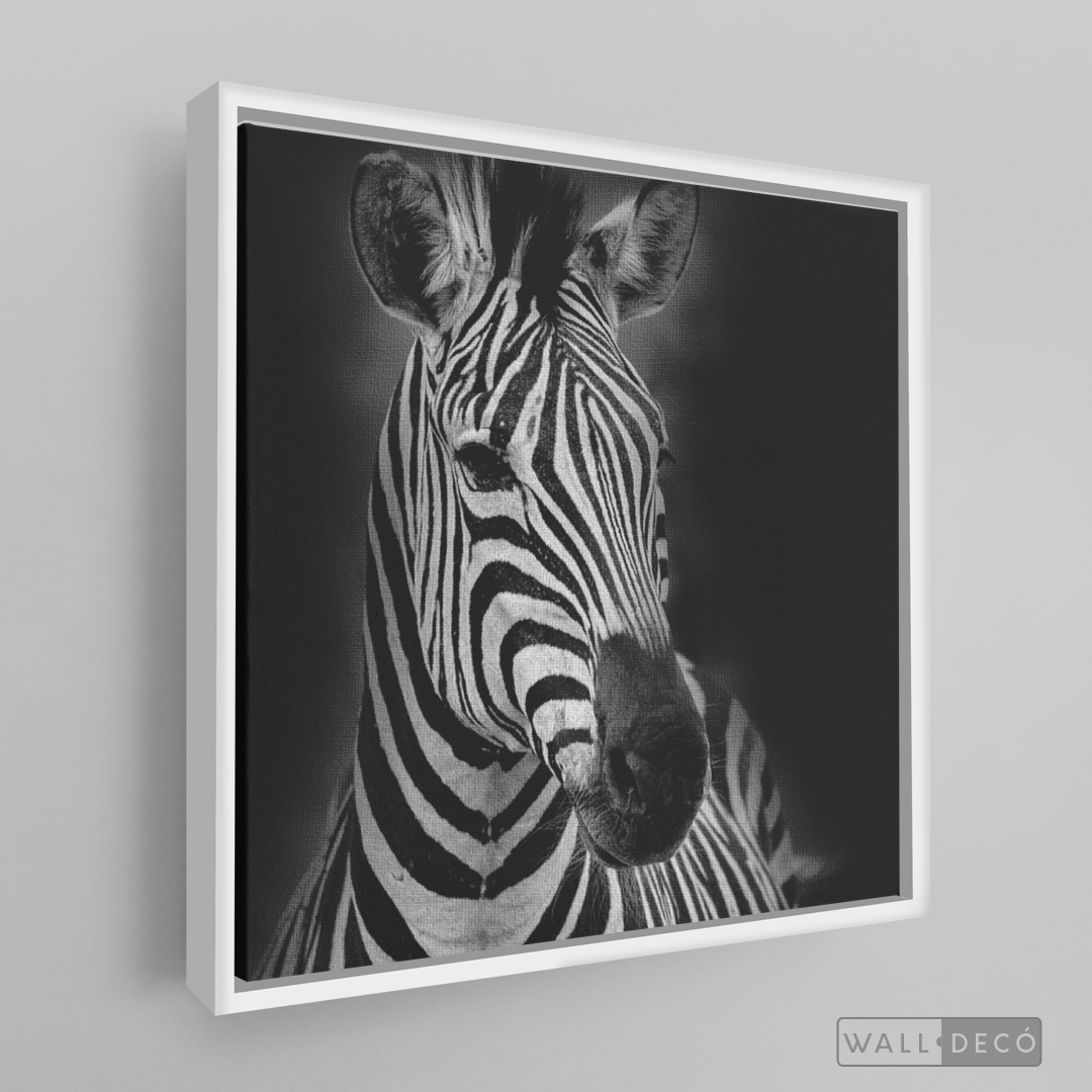 Cuadro Animales Cebra B/N