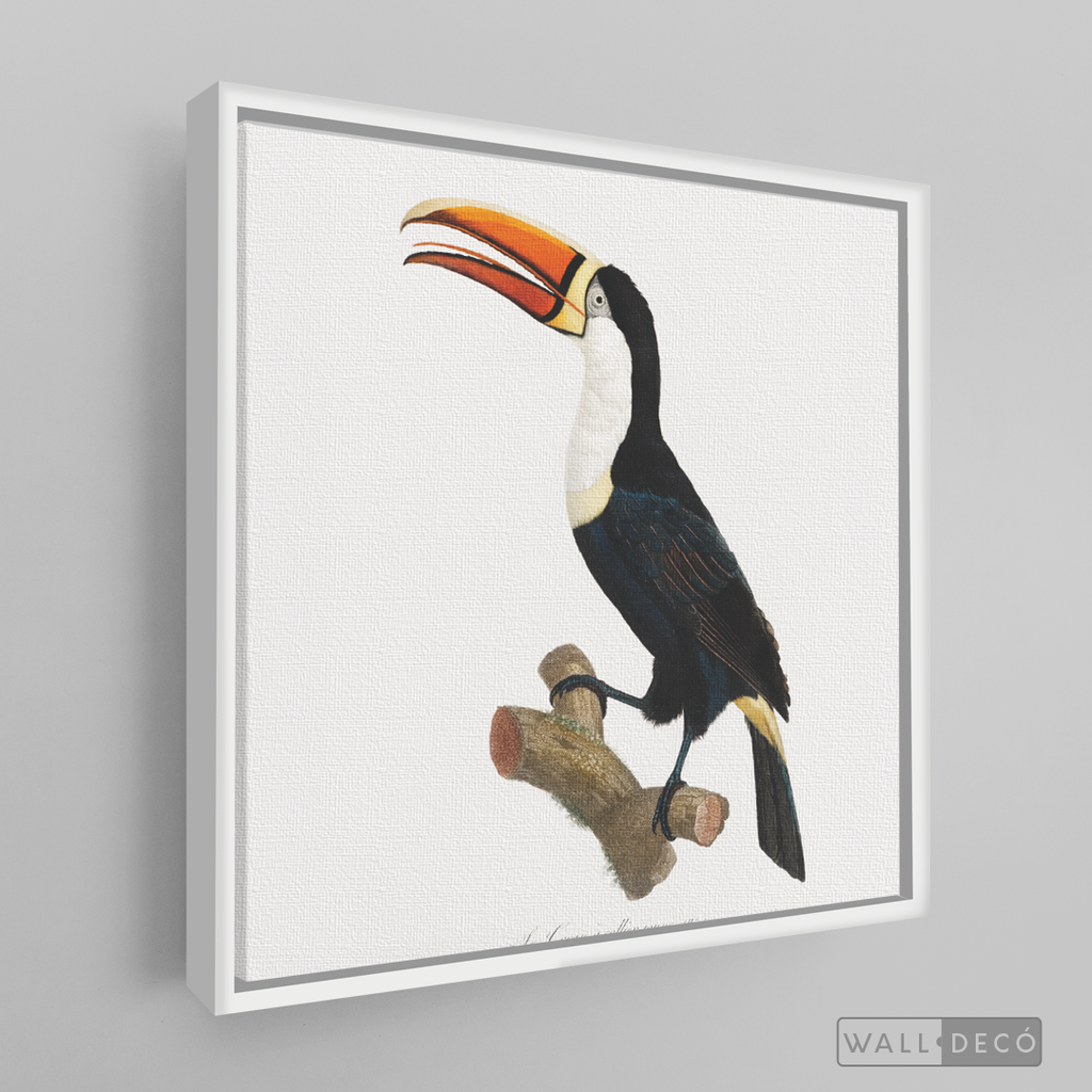 Cuadro Aves Tucan Colombiano 1