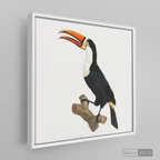 Cuadro Aves Tucan Colombiano 1