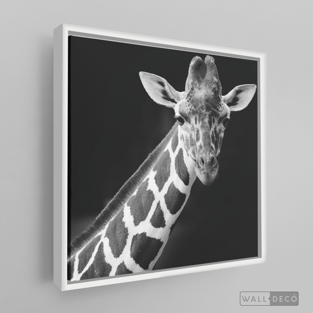 Cuadro Animales Jirafa B/N