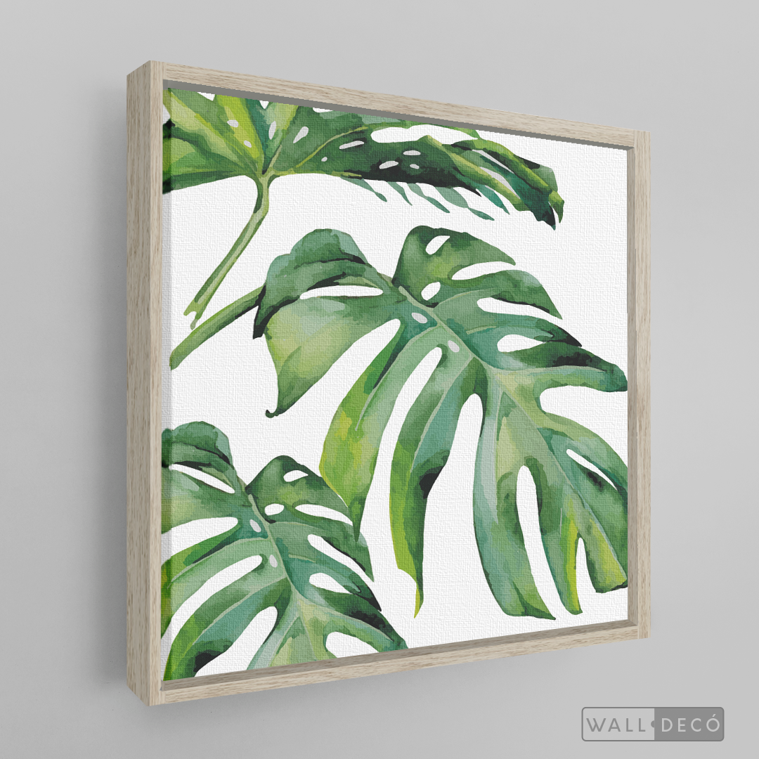 Cuadro Botánico Monstera Deliciosa