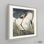 Cuadro Aves Garza