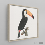 Cuadro Aves Tucan Colombiano 3