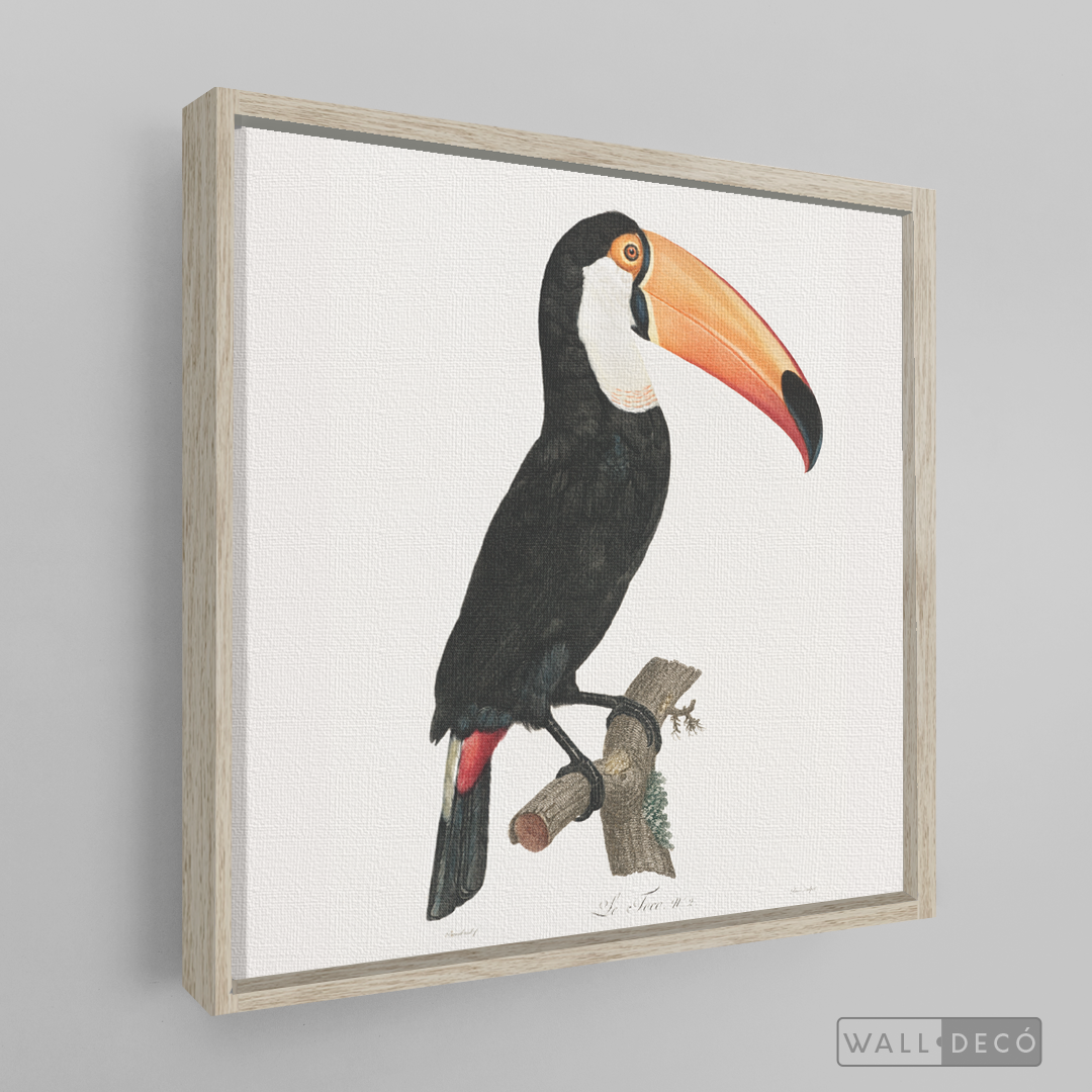 Cuadro Aves Tucan Colombiano 3