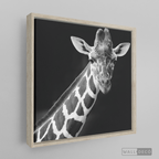 Cuadro Animales Jirafa B/N