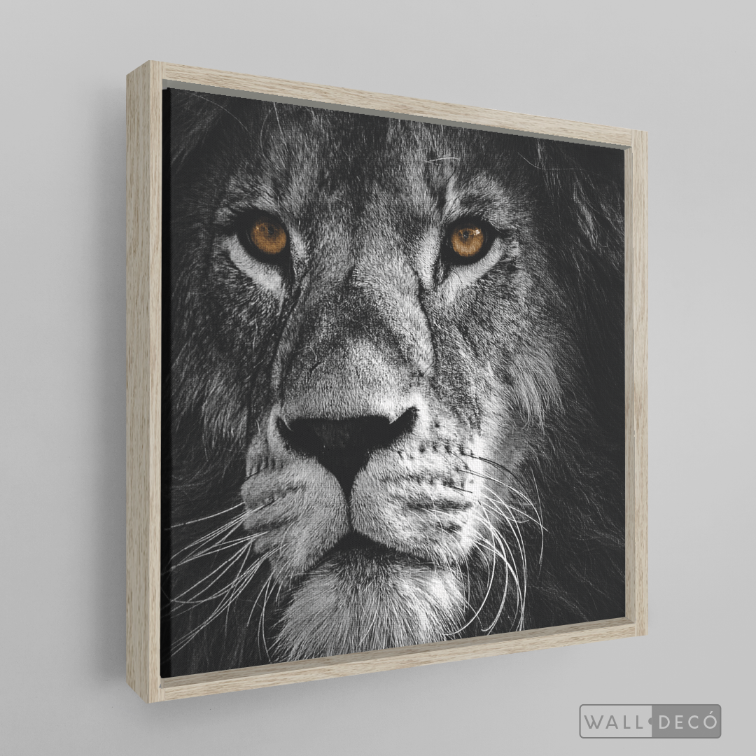 Cuadro Animales León (B) B/N