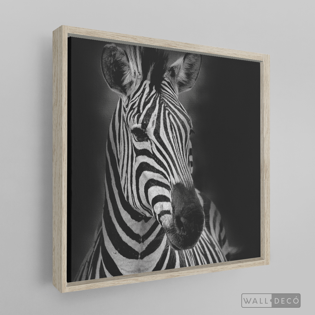 Cuadro Animales Cebra B/N