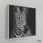 Cuadro Animales Cebra B/N