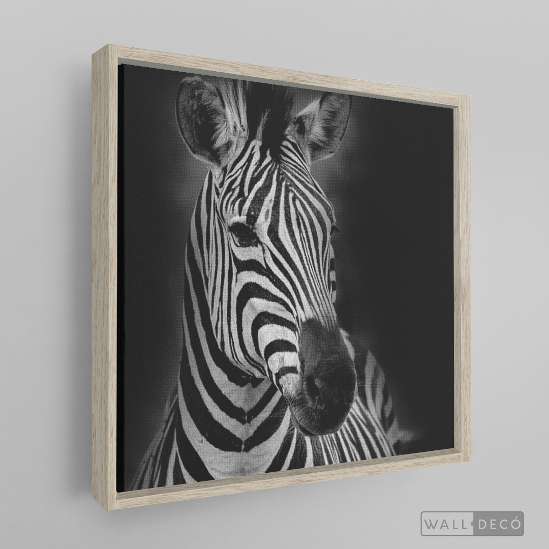 Cuadro Animales Cebra B/N