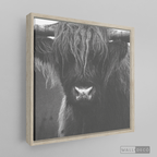 Cuadro Animales Bisonte