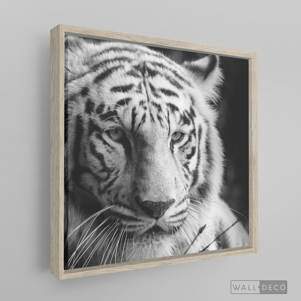 Cuadro Animales Tigre Blanco B/N