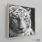 Cuadro Animales Tigre Blanco B/N
