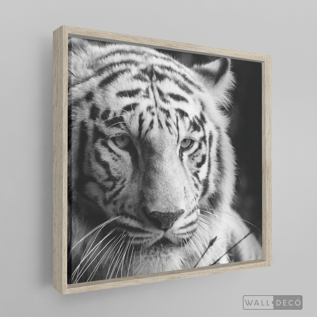Cuadro Animales Tigre Blanco B/N