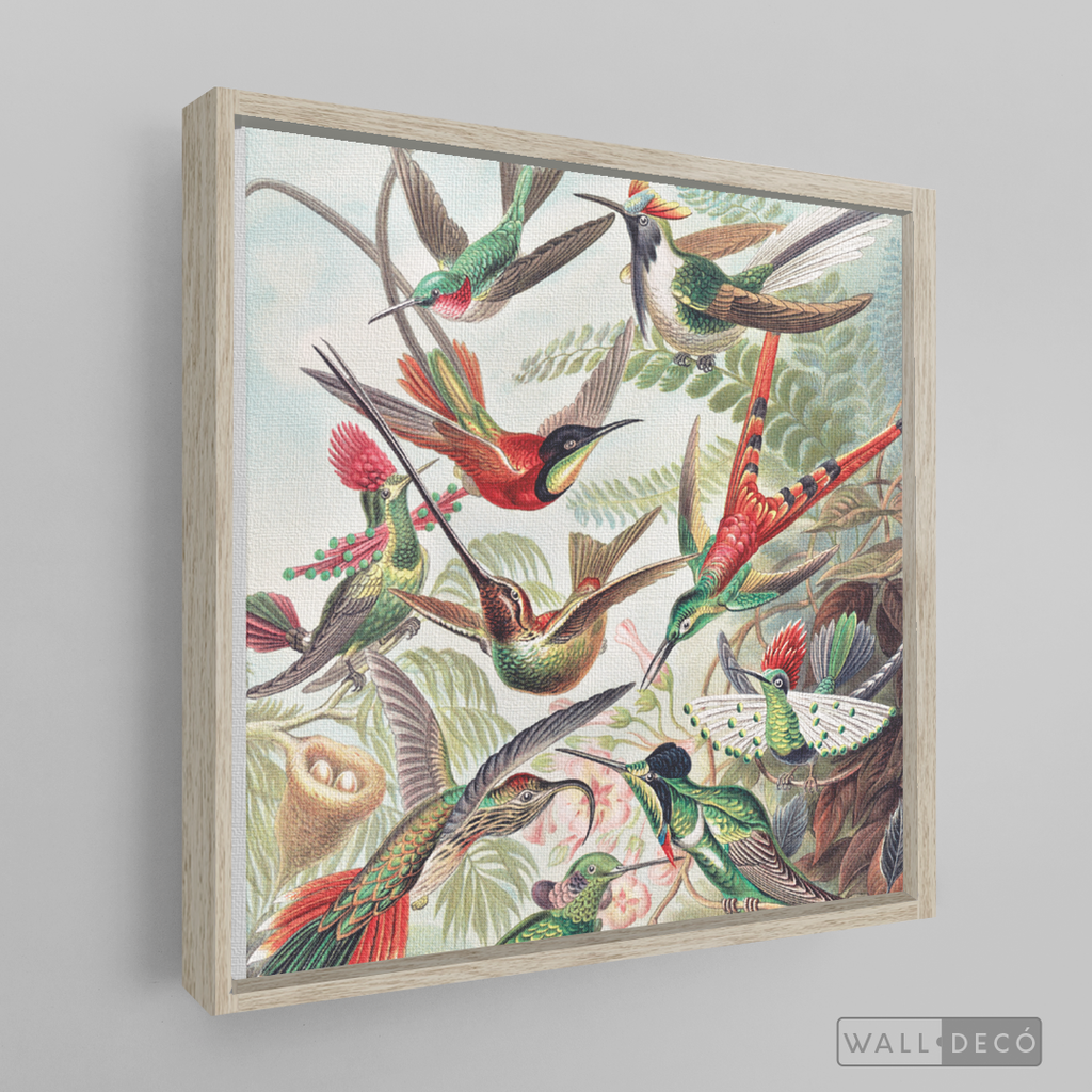 Cuadro Aves Colibríes