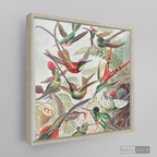 Cuadro Aves Colibríes