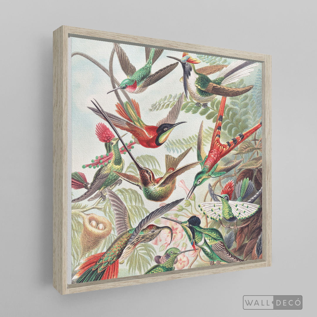 Cuadro Aves Colibríes