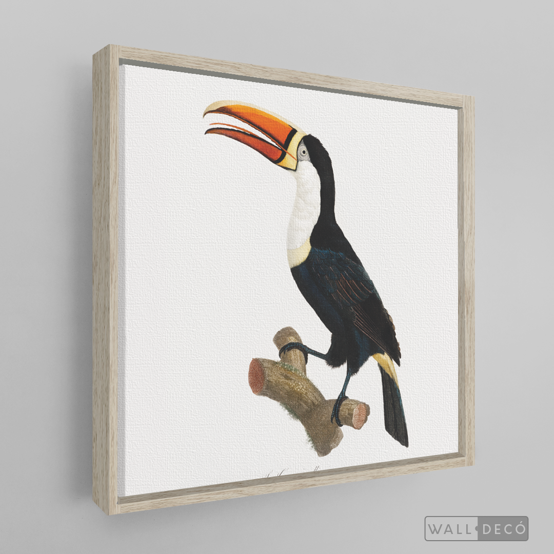Cuadro Aves Tucan Colombiano 1