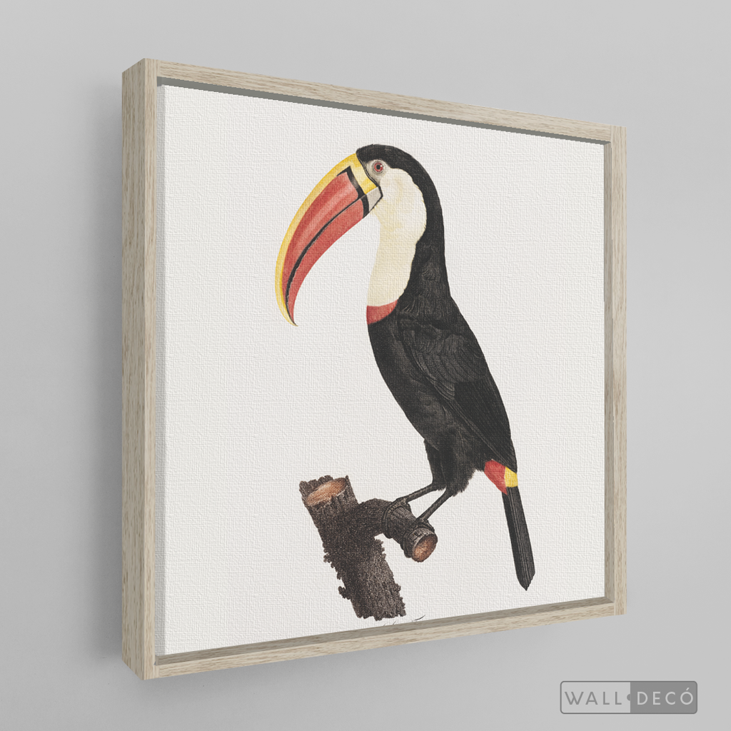 Cuadro Aves Tucan Colombiano 2