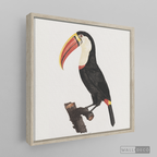 Cuadro Aves Tucan Colombiano 2