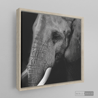 Cuadro Animales Elefante B/N