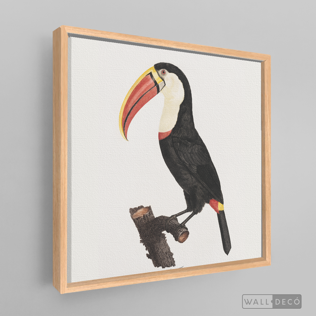 Cuadro Aves Tucan Colombiano 2