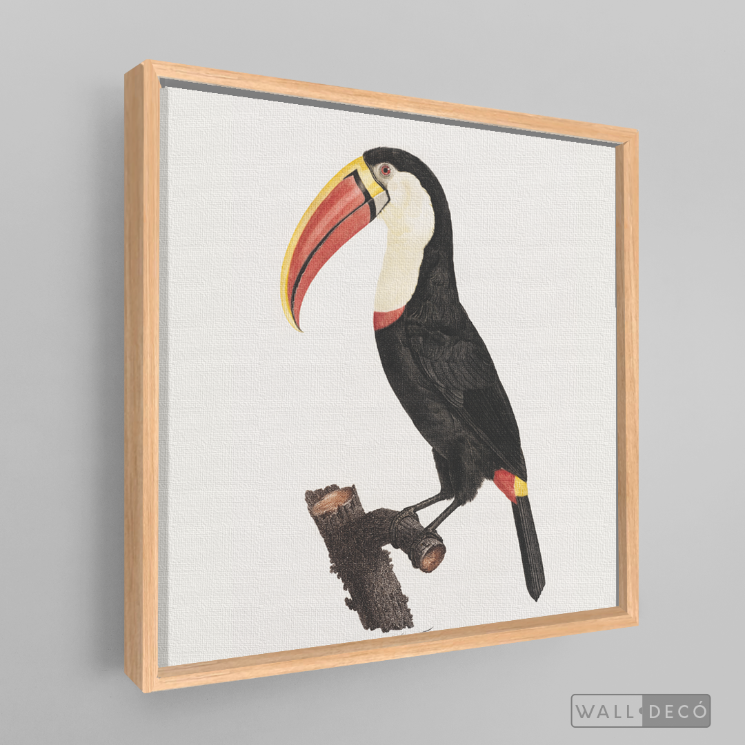 Cuadro Aves Tucan Colombiano 2