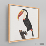 Cargar imagen en el visor de la galería, Cuadro Aves Tucan Colombiano 2
