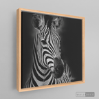 Cuadro Animales Cebra B/N