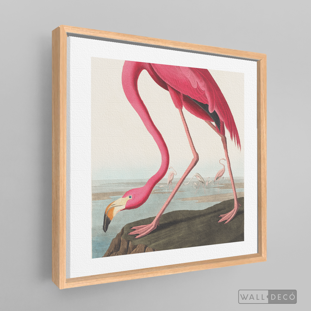 Cuadro Aves Flamenco Mayor